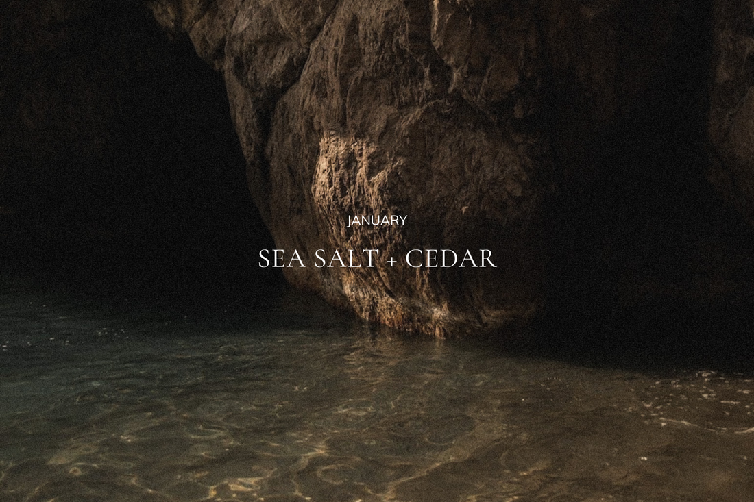 The Monthly Collective candle subscription — January Sea Salt + Cedar edition