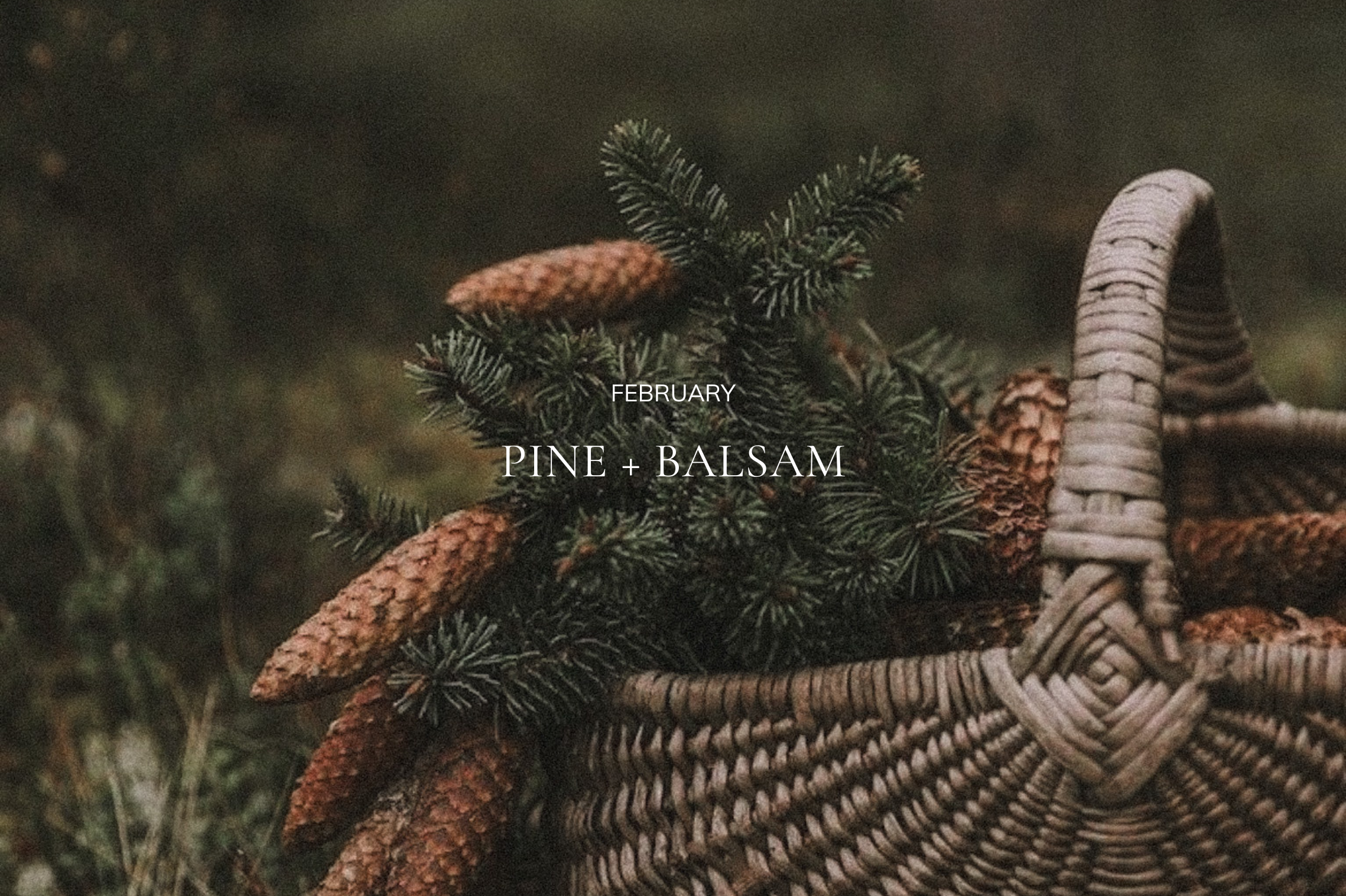 Pine + Balsam February candle in amber glass jar styled in a neutral living room with natural light and evergreen branches.