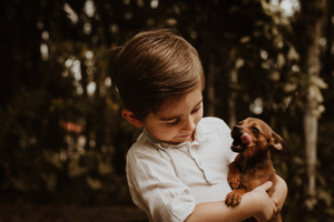 Luceria candle and room spray styled in a soft, family-safe home setting, with child holding dog in woods.