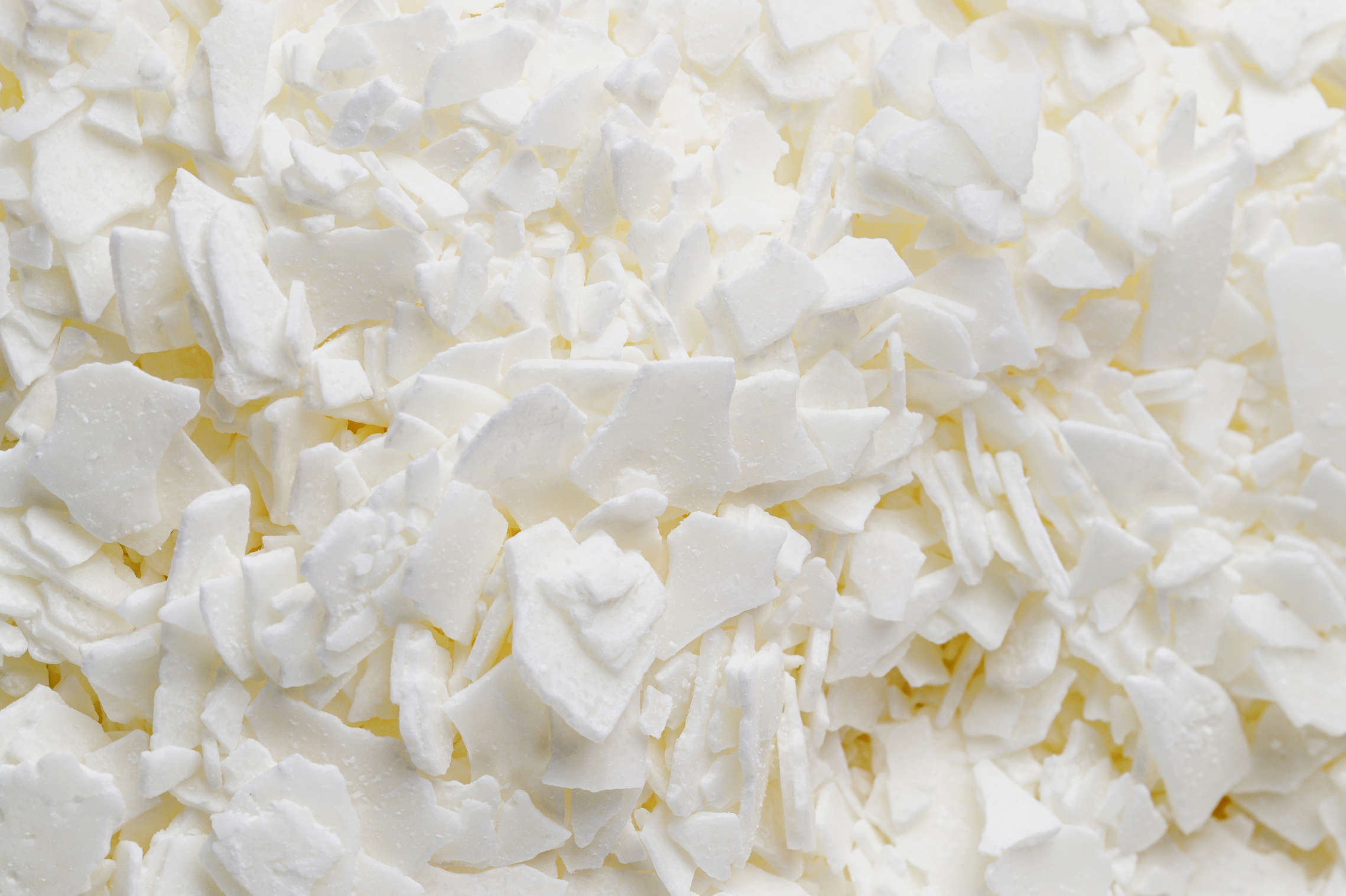 Coconut–soy candles made for scent-sensitive homes with clean FO+EO fragrance blends