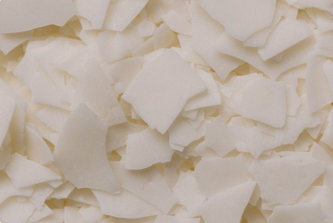 Coconut–soy candles made for scent-sensitive homes with clean FO+EO fragrance blends