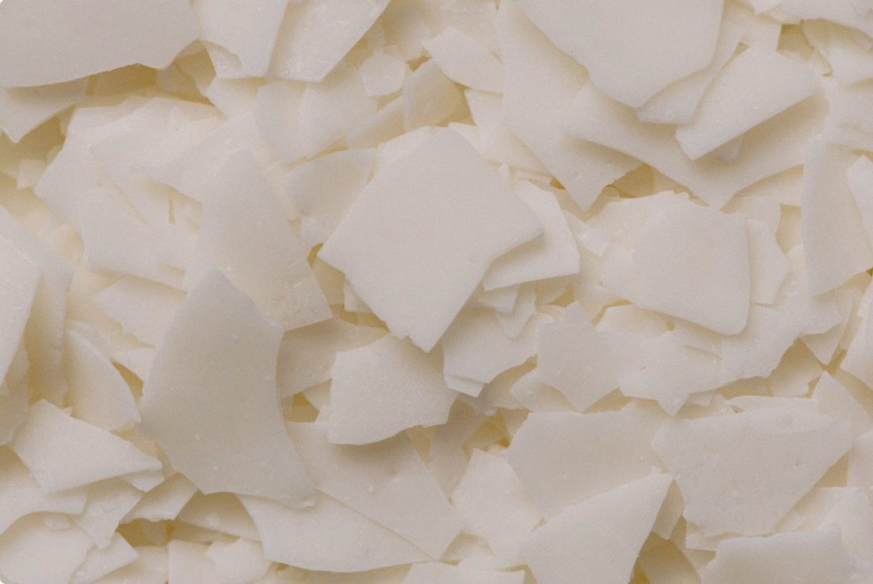 Coconut–soy candles made for scent-sensitive homes with clean FO+EO fragrance blends