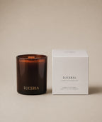 Luceria Candle Co coconut soy wax candle with wood wick subscription candle with branded box. 