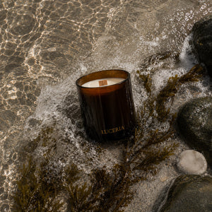 Luceria Sea Salt and Musk candle with a natural wood wick styled with sand, coastal grasses, driftwood, and neutral beach-inspired décor.