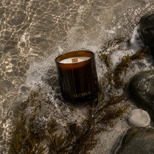 Sea Salt and Musk Scented Candle by Luceria Candle Co.