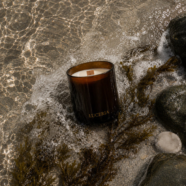 Luceria Sea Salt and Musk candle with a natural wood wick styled with sand, coastal grasses, driftwood, and neutral beach-inspired décor.