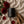 Veil Sandalwood + Rose Candle by Luceria in a matte black jar styled on beige linen with red roses, rose petals, and sandalwood.