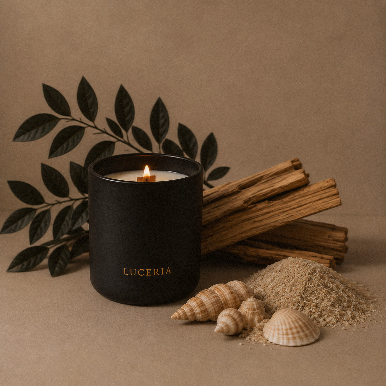 Luceria Mare Sea Salt + Cedar candle in a matte black vessel styled with sand, seashells, moss, and cedar wood on a warm neutral backdrop.