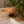 A lit amber glass candle on a small black tray beside a white sink, with a warm brass faucet and a large green houseplant in the background. Luceria candle co.