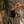 A black matte candle jar with gold 'LUCERIA' branding sits on a brass side table, lit with a wooden match held by a person's hand. The scene is styled with a potted fern and small white daisy flowers against a warm beige wall.