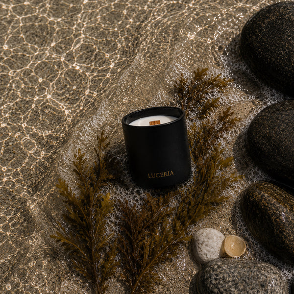 Mare Sea Salt and Cedar Scented Candle by Luceria Candle Co.