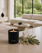 A matte black LUCERIA candle with a wooden wick burning beside fresh white chamomile flowers and sage leaves in a bright modern living room.