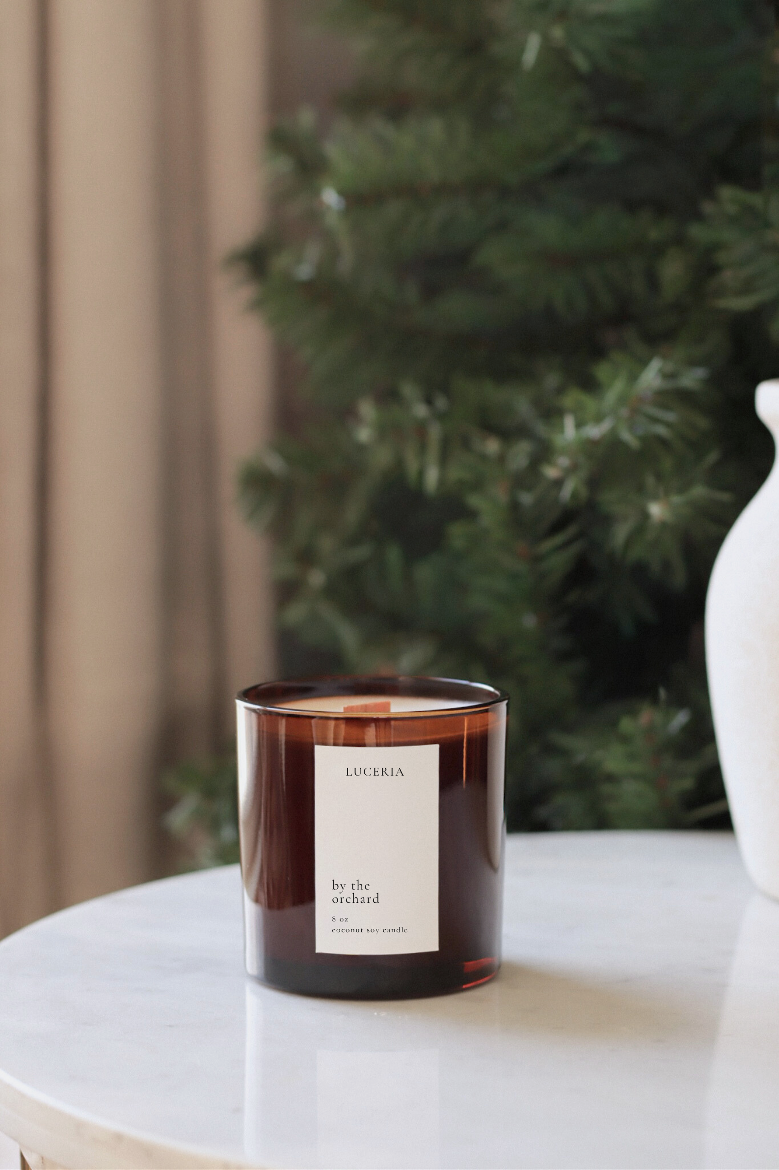 Persimmon citron scented candle with a label on a table in front of a blurred green plant