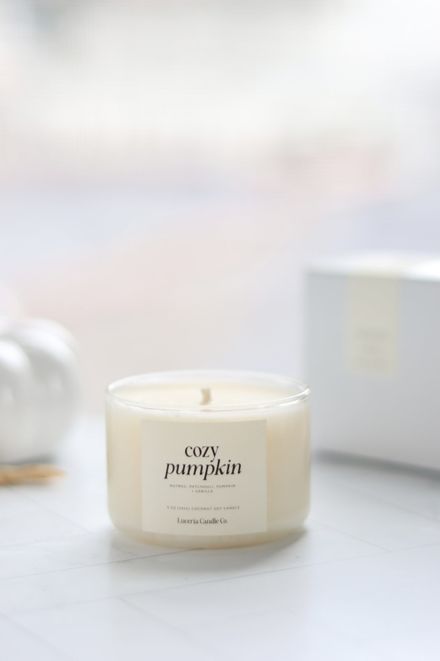 Cozy Pumpkin Candle | Pumpkin Marshmallow | Fall Collection - Luceria Candle Co.