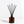 Ember | Palo Santo + Sandalwood Reed Diffuser