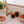 Full-Size Earthen Bundle | Five 10 oz Candles