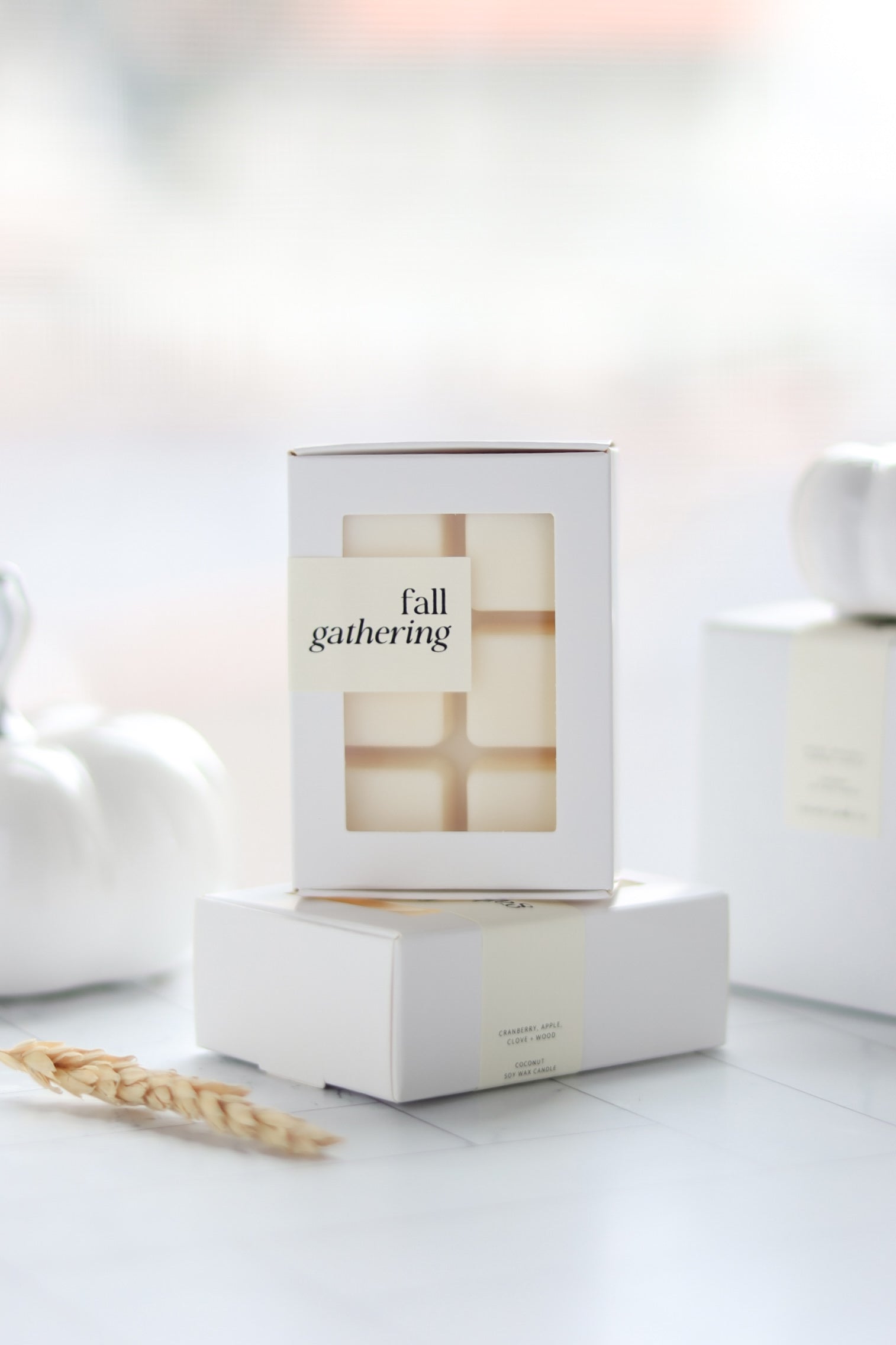 Fall Wax Melts | Coconut Soy Wax | 2.5 oz. - Luceria Candle Co.