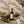 Luceria Rosemary and Sage room spray in an amber glass bottle styled with fresh rosemary, sage leaves, pine sprigs, and neutral linen.