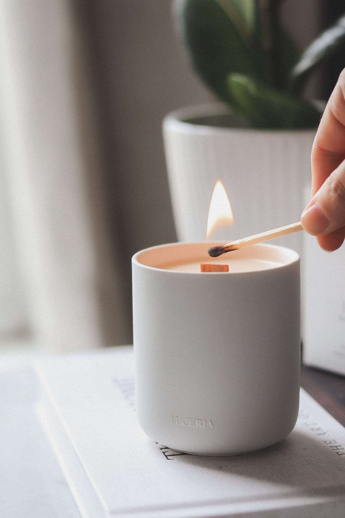 Person lighting a white candle with a match, with a plant in the background.