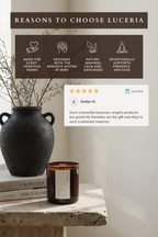 In the Sea candle on textured surface with Luceria reviews 