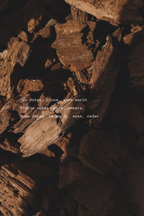 Close-up of textured wood with descriptive text overlay