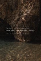 The Monthly Collective Subscription