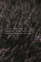 Close-up of lavender flowers with lavender scent notes text overlay describing fragrance notes.