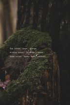 Moss-covered tree stump in a forest with text overlay about fragrance notes.