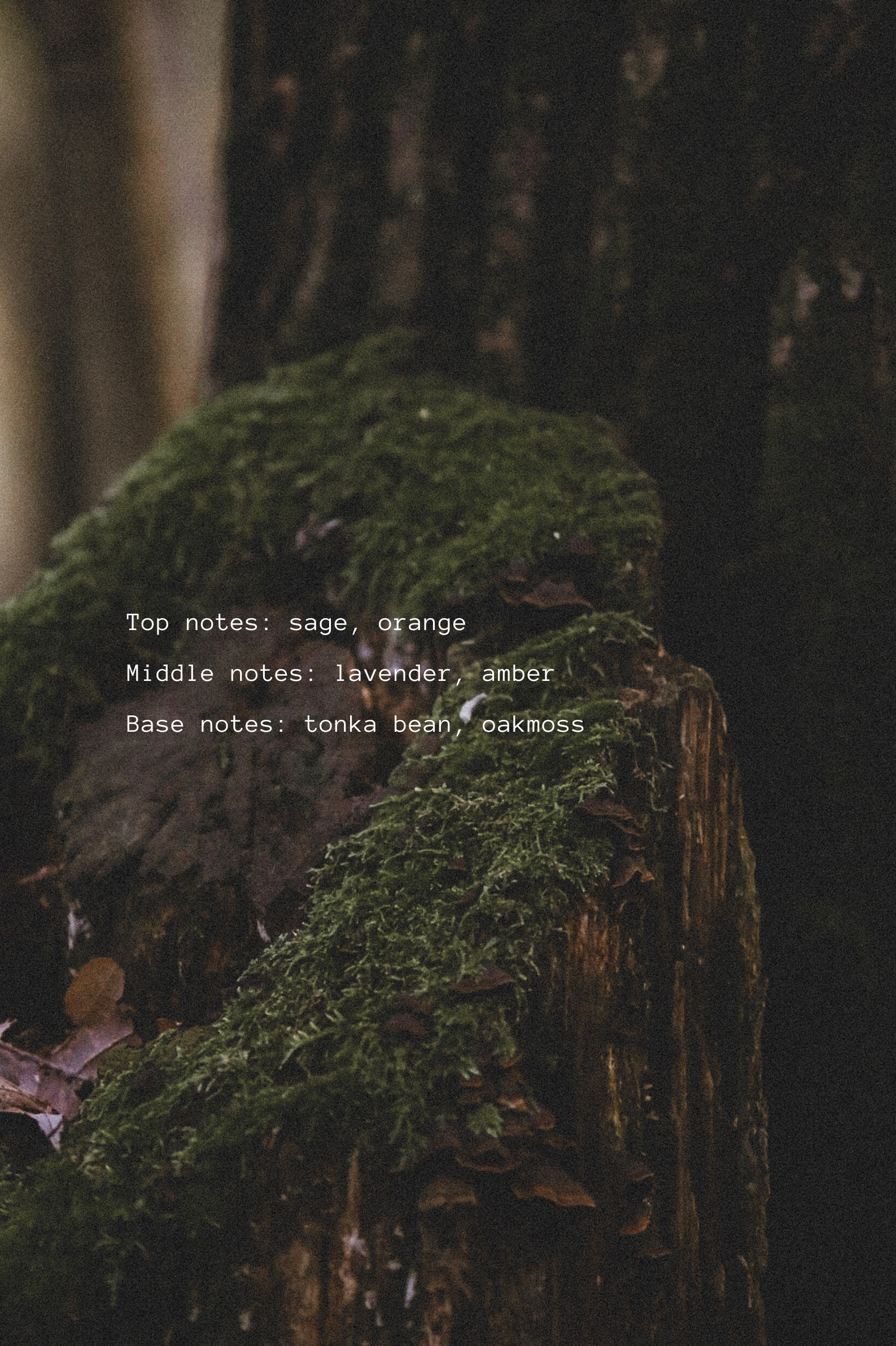 Moss-covered tree stump in a forest with text overlay about fragrance notes.
