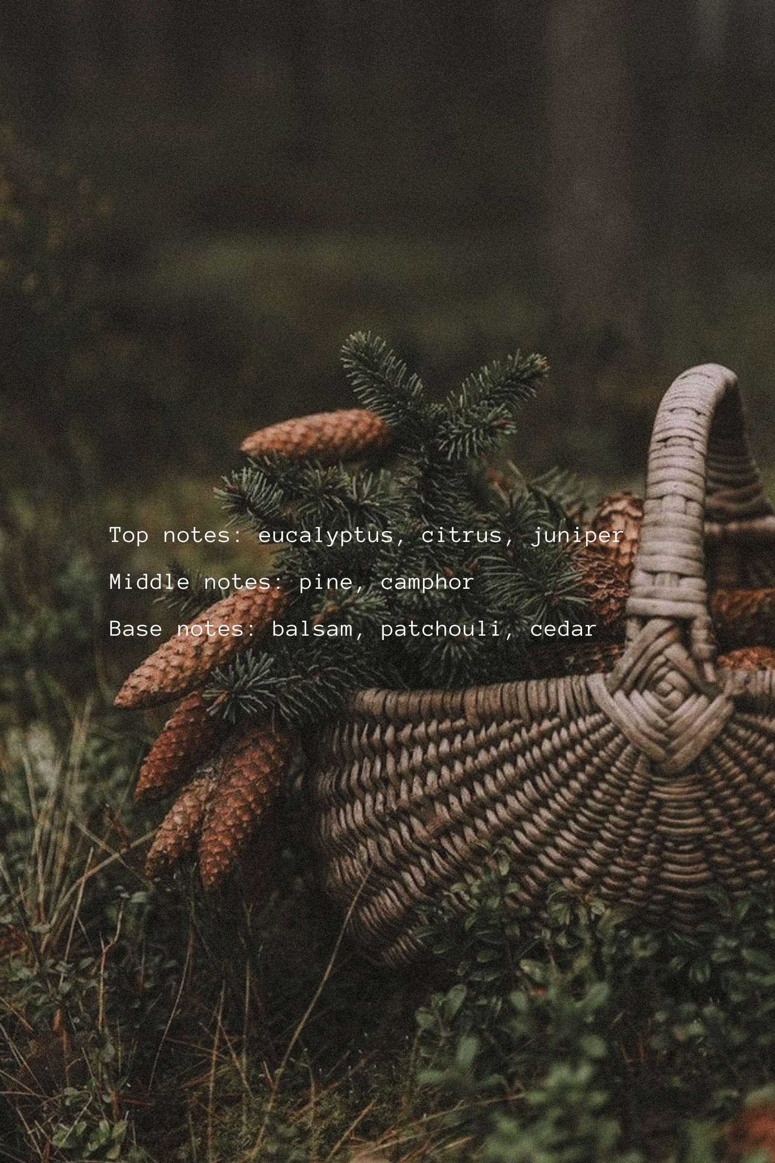 The Monthly Collective Subscription