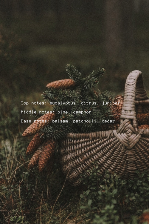 The Monthly Collective Subscription