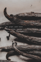 Vanilla beans with text describing top, middle, and base notes.
