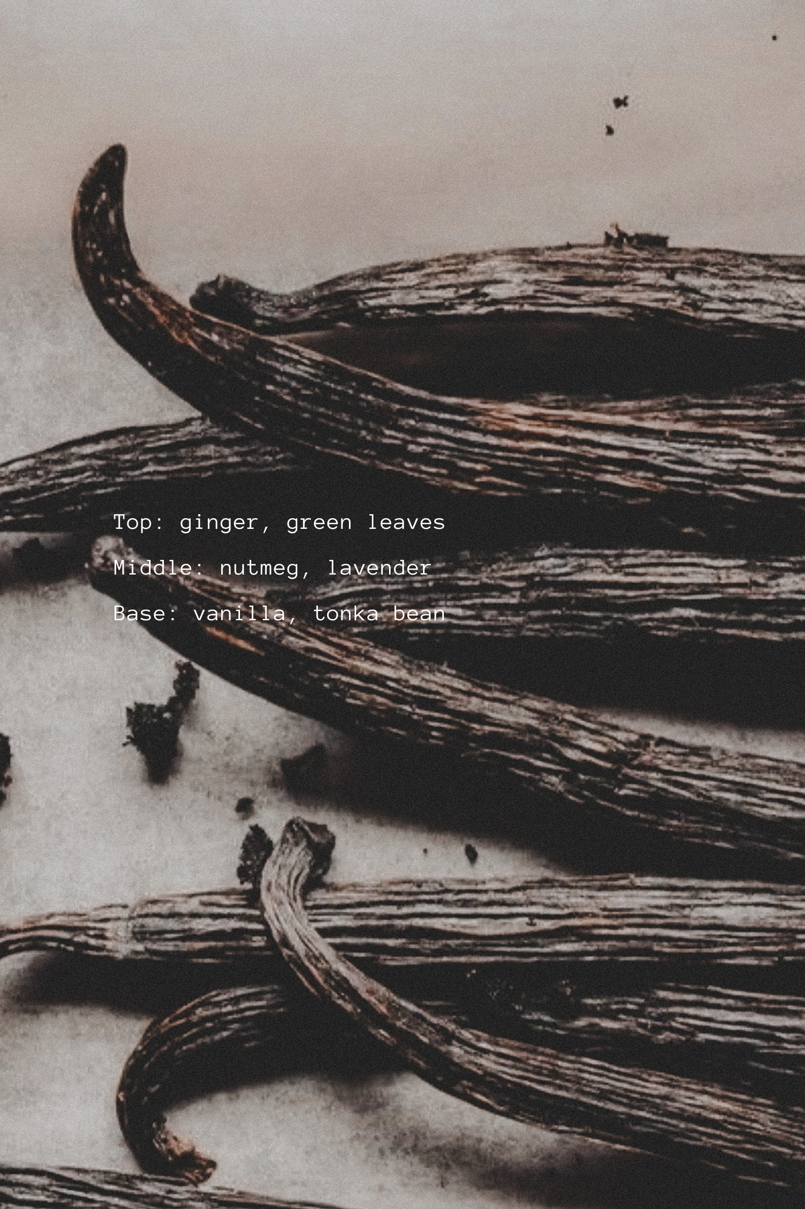 Vanilla beans with text describing top, middle, and base notes.