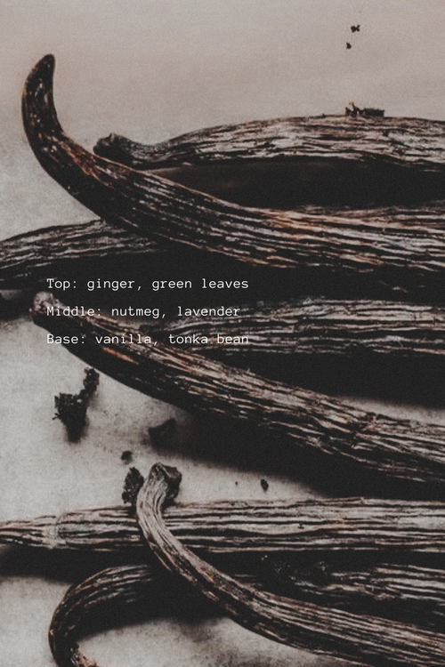 Vanilla beans with text describing top, middle, and base notes.