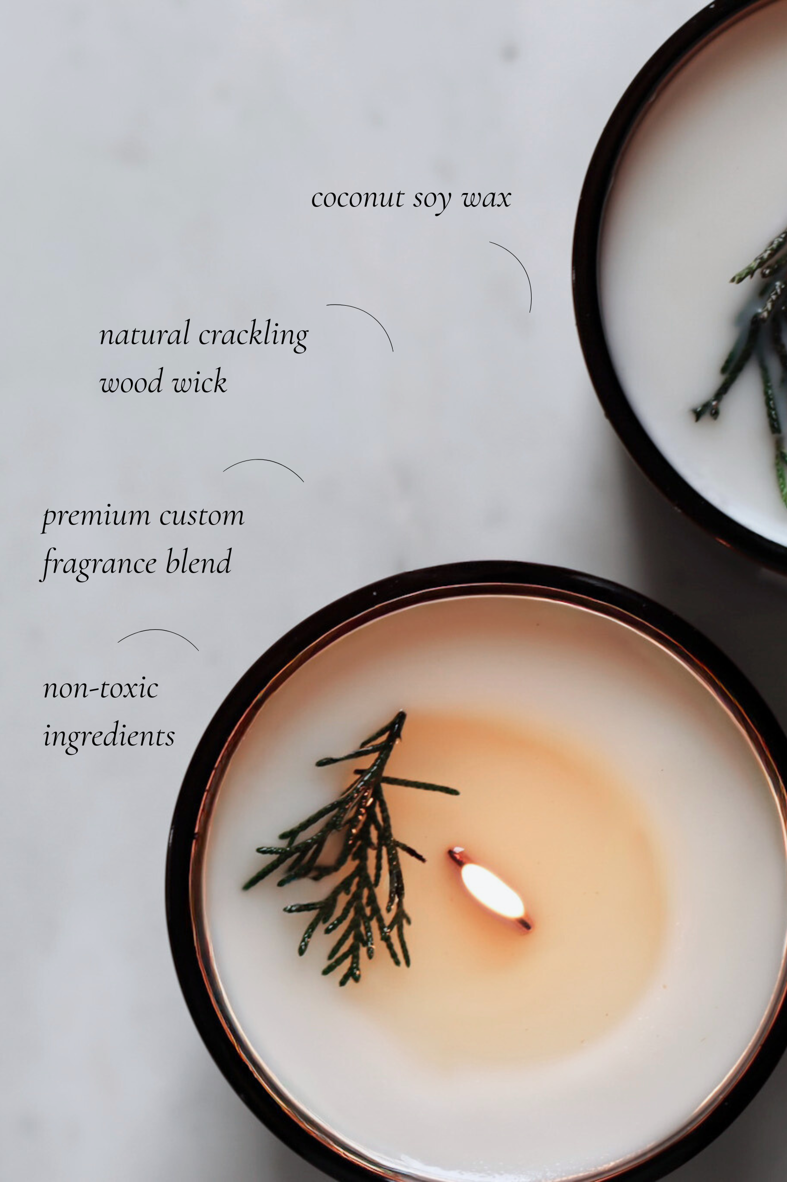 Fraser fir scented candle with natural crackling wood wick on a light background