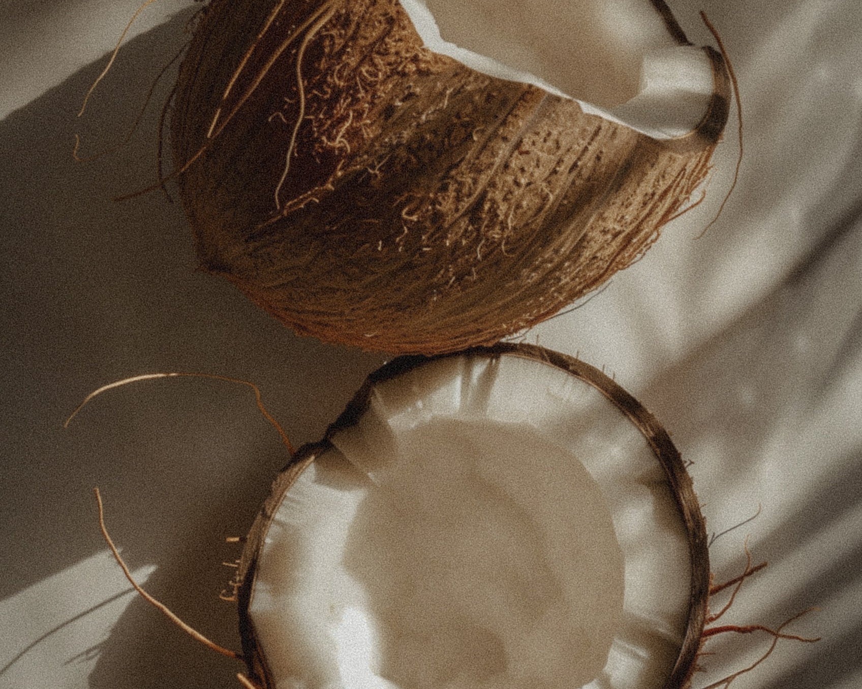 Two coconuts, one whole and one split open, on a textured surface with shadows.