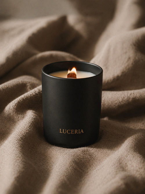 Ember | Palo Santo + Sandalwood Candle