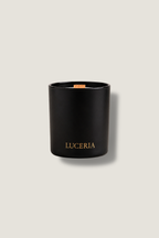 Ember | Palo Santo + Sandalwood Candle